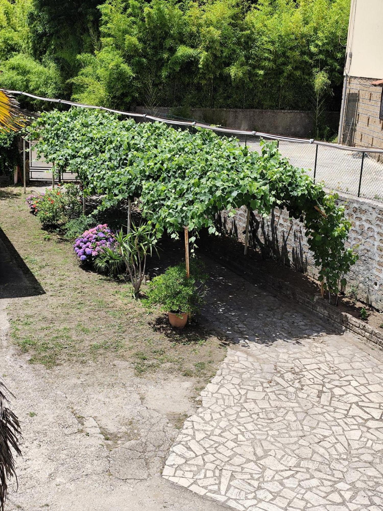 La Casina Di Karol Daire Ronciglione  Dış mekan fotoğraf